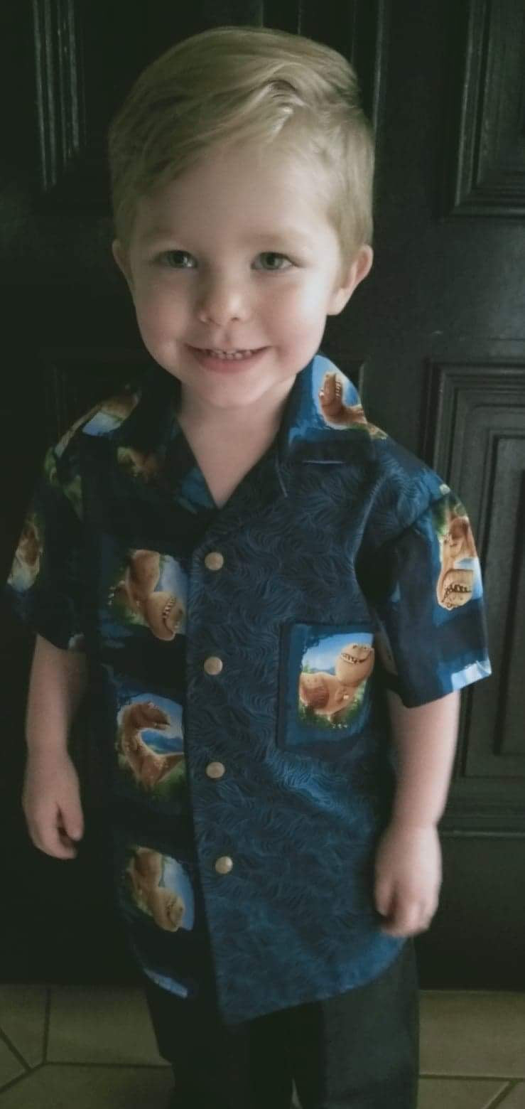 Shirt - Dinosaurs with Contrasting Blue Front Panel